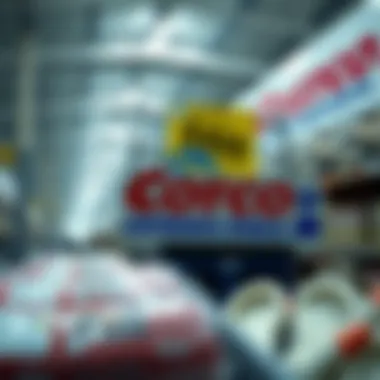 Notable Cost Analysis of Costco Stock Notable Cost Analysis of Costco Stock