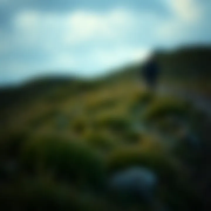 Notable Navigating the Terrain: Essential Literature for Purchasing Land